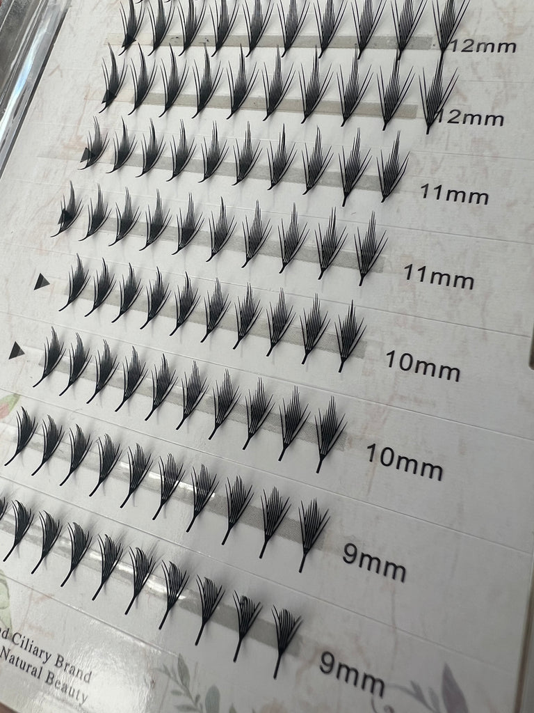New Spire lashes A