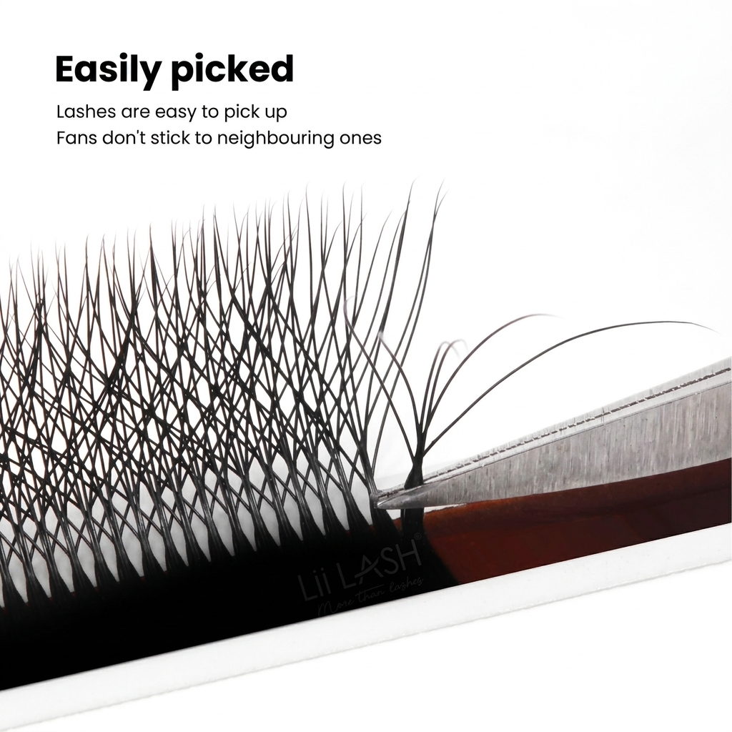 W LASHES