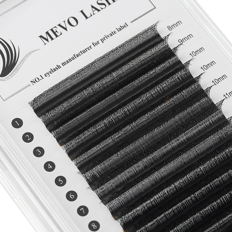 5D W LASHES
