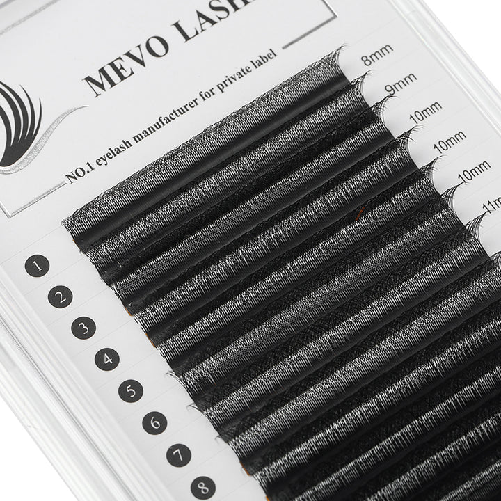 5D W LASHES